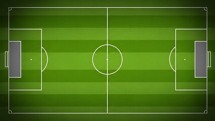 A green soccer field with white lines and goals on both ends 