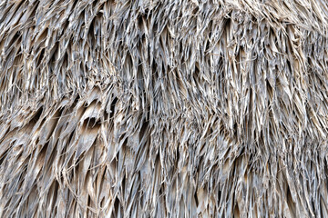 close up of tiki hut roof tropical area