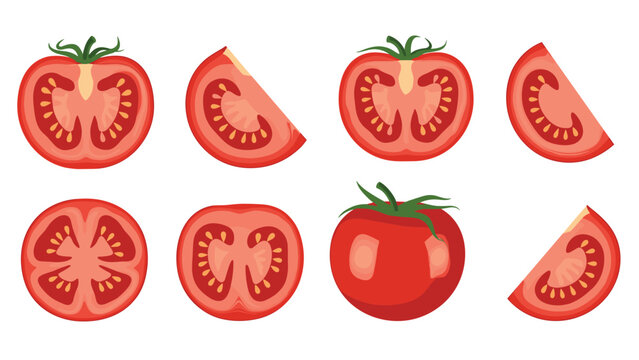Variety of red tomato illustrations showing whole fruit, half slices, and quarters arranged in a grid on a white background.