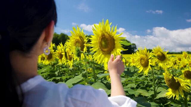 Himawari Images – Browse 87,201 Stock Photos, Vectors, and Video