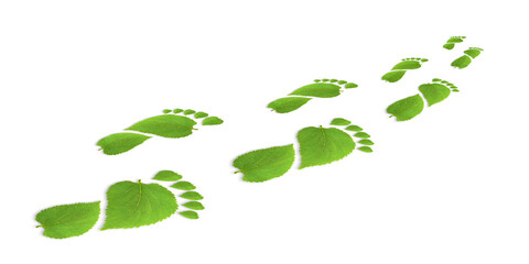 green leaf growing footprints, co2 symbol isolated on White Background. Reduce CO2 emission concept.Clean and friendly environment without carbon dioxide emissions.