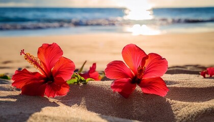 scarlet blossoms rest serenely on sunlit sand evoking hawaiian lei day and clandestine midsummer beach rituals
