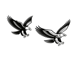 Obraz premium Two majestic eagles in mid-flight with wings spread wide, showcasing strength and freedom