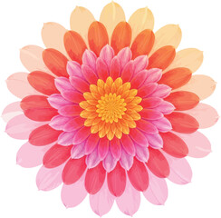 Obraz premium Vibrant Pink and Orange Flower with Yellow Center Blooms Beautifully