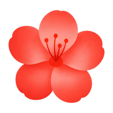 PNG Vibrant red floral illustration