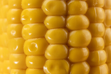 Extreme macro view of shiny yellow corn kernels showing texture and freshness. Ideal for food detail, agriculture, and natural product visuals.