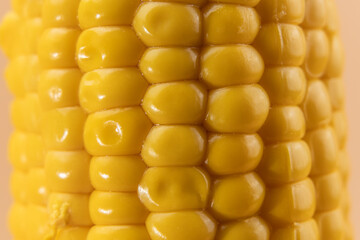 Detailed close-up of ripe corn kernels arranged in natural rows. The image highlights freshness, texture, and vibrant yellow color.