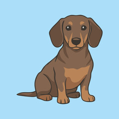 Cute Dark Brown Dachshund Dog Sitting - Animal Character Vector Illustration 