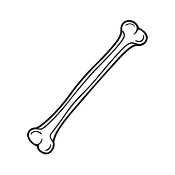 shank bone zeroa element