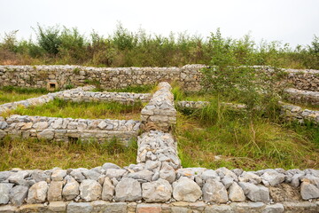 View of stone ruins and grassy patches create a textured landscape under a pale sky, revealing the past amidst nature's embrace, Taxila, Punjab, Pakistan.