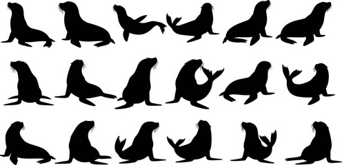 Collection of California Sea Lion and Earless Seal Silhouettes in Various Poses Isolated on White Background for Marine Life Design © MD Anas