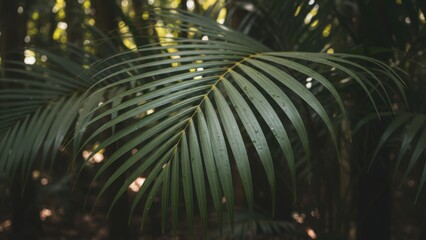 Close-up color photo of a green leaf palm with water droplets, highlighting its vivid texture and natural freshness.