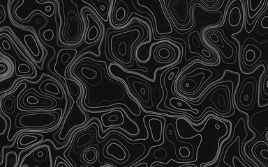 Fractal lines background. Topographic map like abstract backdrop vector illustration.  Business concept. Vector illustration