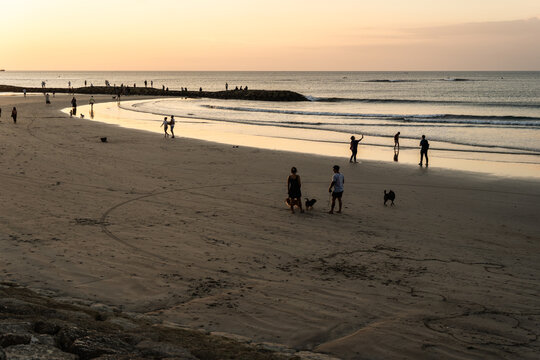View of golden sands meeting the tranquil ocean as people and dogs enjoy the serene evening light, creating silhouettes against the horizon, Kuta Beach, Bali, Indonesia.