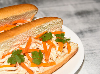 Basic Banh Mi Sandwich on a plate