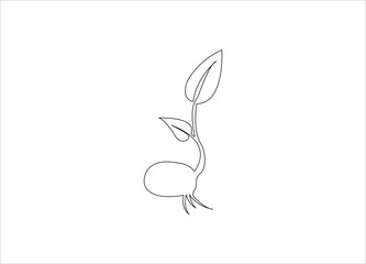 Fototapeta premium plant growth single line art template.