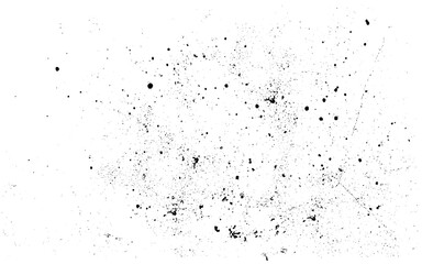 Abstract white dust explosion on a black background.abstract powder splatted background,Freeze motion of color powder exploding/throwing color powder, multicolor glitter texture  