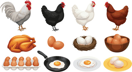 Chicken and egg food vector illustration set showing poultry, raw eggs, cooked meals and farm products isolated