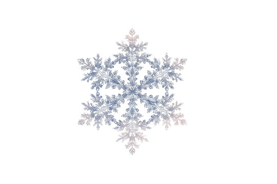 Intricate snowflake design isolated on transparent background - Powered by Adobe