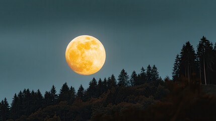 Full moon rising silhouette