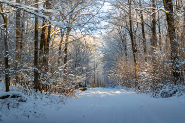 Viel Schnee im Wald. Sch&ouml;ne Winterlandschaft.
