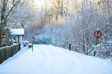 Der Wald komplett zugeschneit