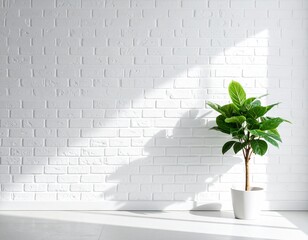 Bright Modern Room with White Brick Texture and Indoor Greenery