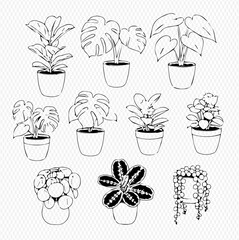 Set of potted house plants, hand-drawn vector illustration of various indoor greenery in pots, perfect for home decor and botanical themes. © Akun