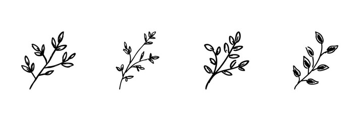 Fototapeta premium Botanical Branches Line Icon Set In Doodle Style. Nature, Organic Growth, And Floral Design Elements Outline Sketch Collection. Hand Drawn Isolated Vector Illustration