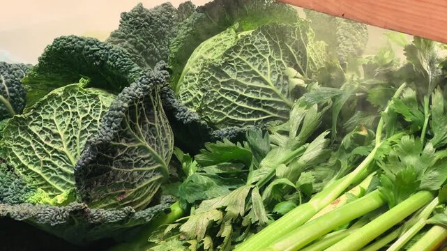 Fresh vegetables, savoy cabbage and celery, are on the counter at the farm store. High quality 4k footage
