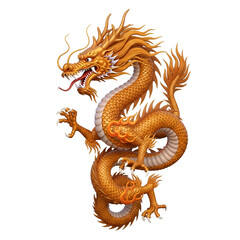 Fototapeta premium Golden Chinese Dragon Illustration