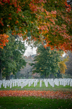View of rows of white headstones stand solemnly amidst a carpet of fallen autumn leaves beneath a canopy of vibrant foliage, Arlington, Virginia, United States.