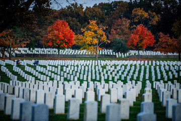 View of rows of white headstones stretch across the landscape, backdropped by trees ablaze in autumn hues, creating a poignant scene, Arlington, Virginia, United States.