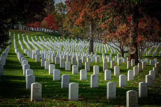 View of solemn white headstones stand in perfect rows across the rolling green hills beneath trees with autumn foliage, Arlington, Virginia, United States.