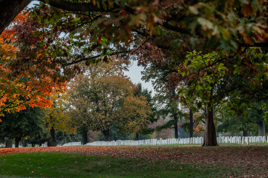 View of a serene landscape with rows of white headstones, framed by trees displaying vibrant fall foliage in Arlington, Virginia, United States.