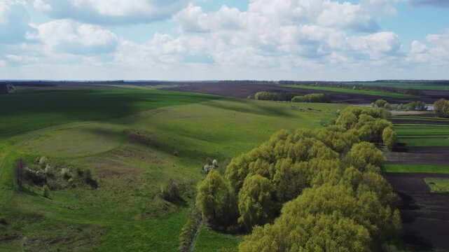 Old willows in small river valley in springtime, aerial view