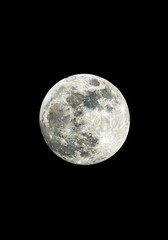 Fototapeta premium Detailed close-up view of the brilliant, luminous full moon shining brightly in the deep, vast expanse of the dark night sky, revealing surface textures, enormous, cycle, sky