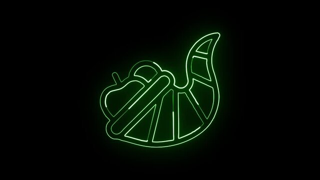 Glowing neon line cornucopia with food overflow animation. Thanksgiving harvest icon animation HD video isolated on black background