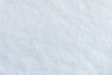 Snow-covered surface with soft shadows by trees.