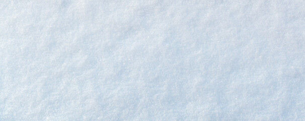 Snow-covered surface with soft shadows by trees.