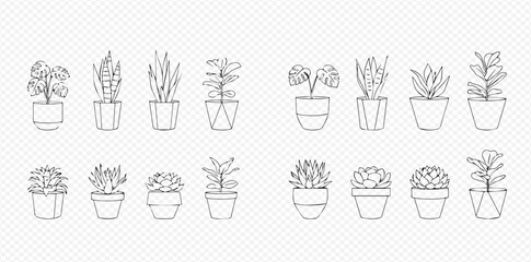 Set of various potted house plants and succulents in line art style, perfect for home decor and garden themes. © Akun
