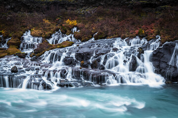 View of cascading turquoise waters surging over dark, volcanic rocks beneath autumn-kissed foliage in Barnafoss, Modruvellir, West Iceland, Iceland.