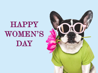 Happy Women's Day. Cute puppy, flower and congratulatory inscription. Close-up, indoors, studio shot. Congratulations for family, loved ones, relatives, friends and colleagues. Pets care concept
