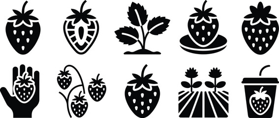 Strawberry icon set silhouettes, fruit, plant, farm, harvest, juice, organic food symbols, black and white vector collection © Bokul Creatives