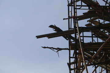 Temporary Construction Framework , Architectural Support Structure