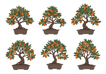 Seamless Pattern of Kumquat Bonsai Trees Vector Illustration
