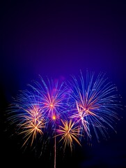 Vibrant Fireworks Display in Night Sky Celebration