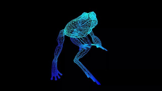 Abstract blue neon wireframe frog rotating 360 degrees on black background 3D plexus animation