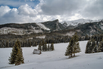 snow covered mountains