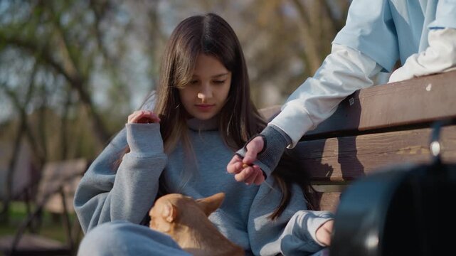 young female lovingly embraces small pet outside, teen girl gently interacts with tiny dog outdoors in park, adolescent girl expresses tender feelings while petting small chihuahua in park setting